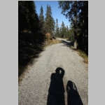 Shadow